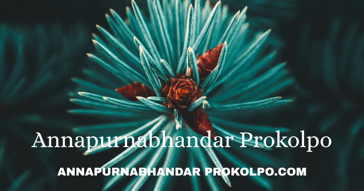 annapurnabhandarprokolpo.com